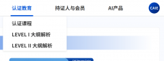 大型跨国互联网项目中
